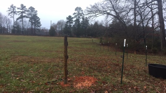 4cf7cfa6-685b-41de-aa70-6e7fe238a70b