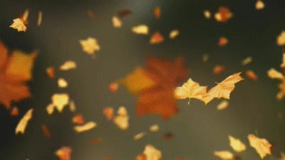 leafgif