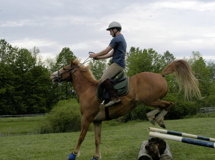 29513_395896837826_4134340_n